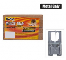Mouse Trap Metal