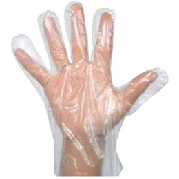 Deli Gloves 100's