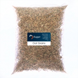 Hawer / Oat Grains 